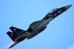 F15-AG-02