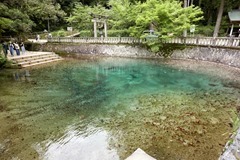 別府弁天池