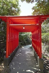 福徳稲荷千本鳥居
