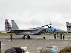 306飛行隊935特別塗装 306飛行隊935特別塗装