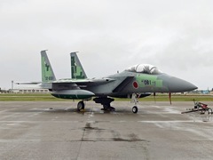 F-15アグレッサー081 F-15アグレッサー081