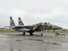 F-15アグレッサー084 F-15アグレッサー084