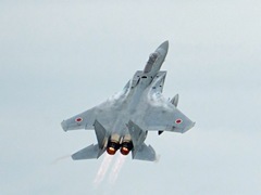 303飛行隊F15-1