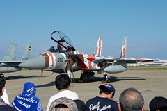 F-15-AGR
