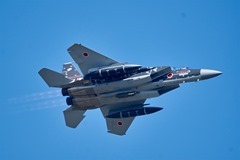 F-15-Aggressor-02